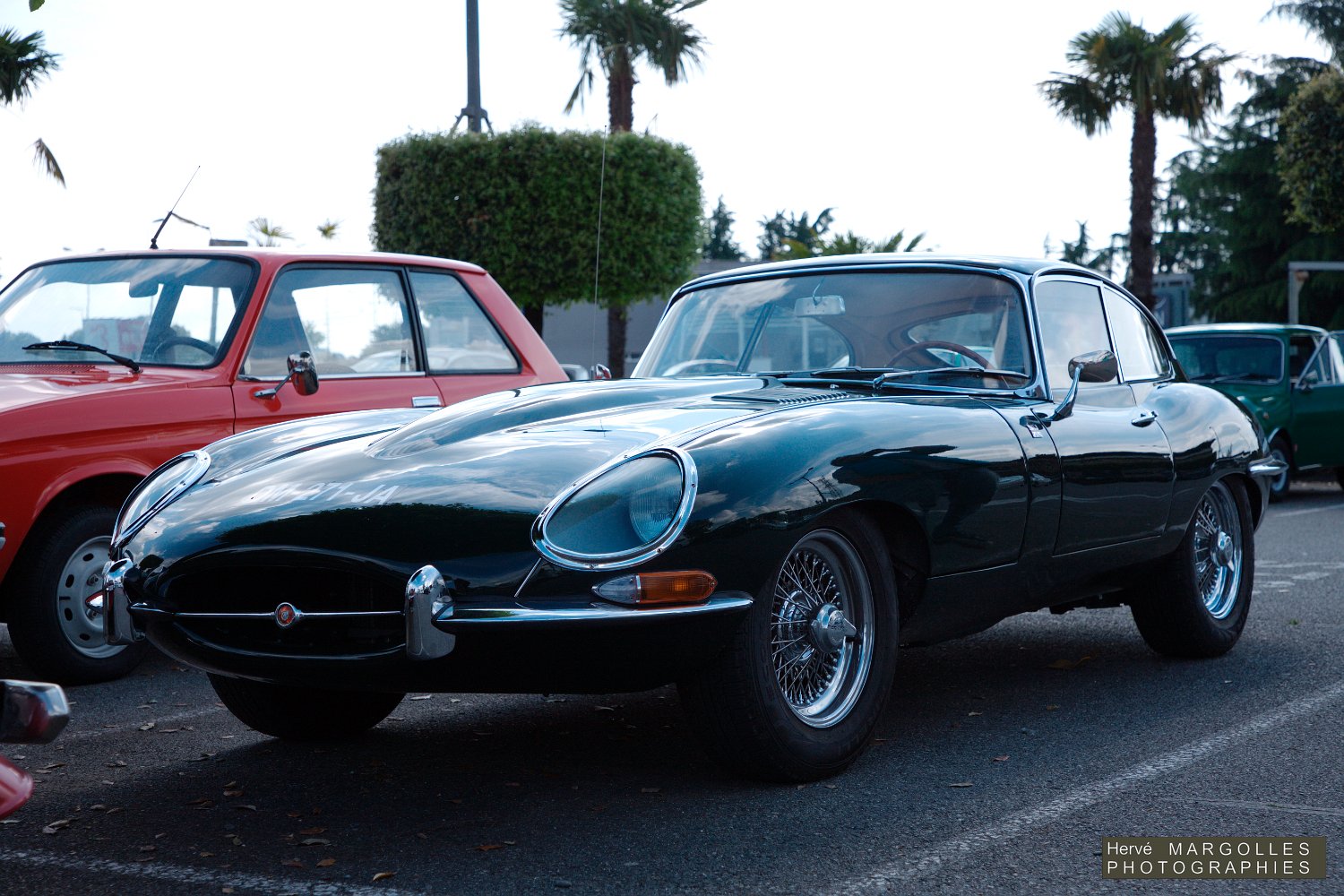 Jaguar Type E-01.jpg